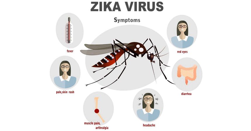 zika virus