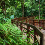Garden Walks in Singapore