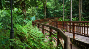 Garden Walks in Singapore