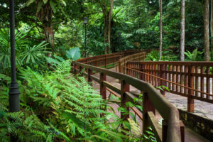 Garden Walks in Singapore