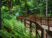 Garden Walks in Singapore
