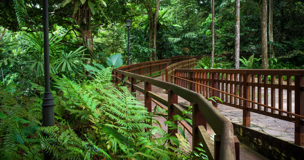 Garden Walks in Singapore
